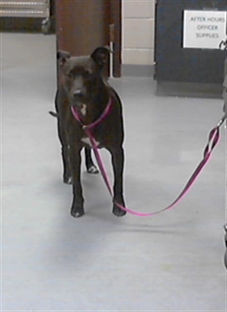 ID#A421568