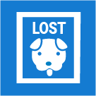 Lost or Found