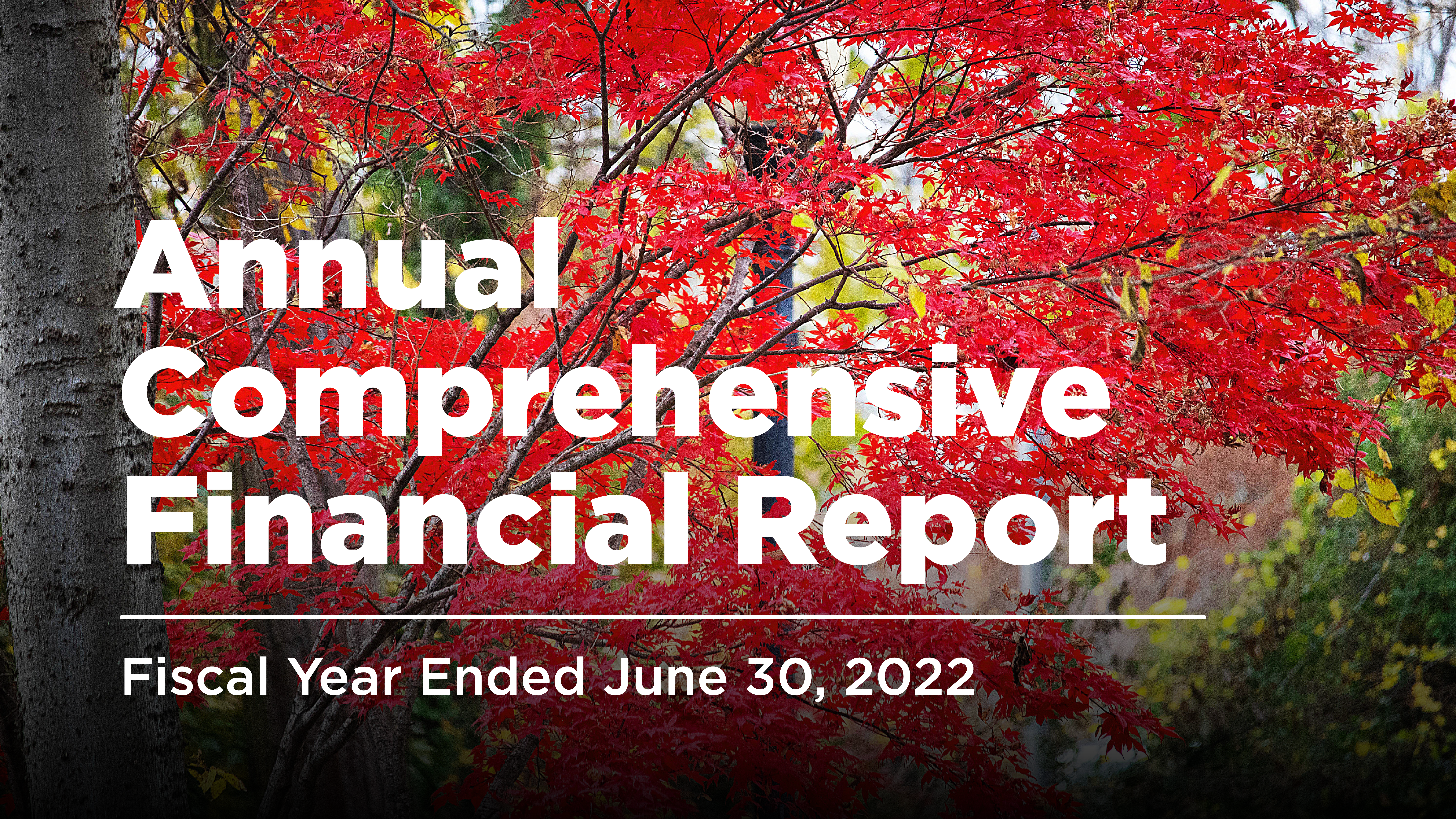 acfr_2022