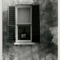Charleston Window by Dr. David E. Drake