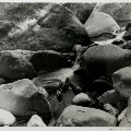 Untitled Photo by Dr. David E. Drake