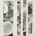 Beth by Olivia Riley Ollis