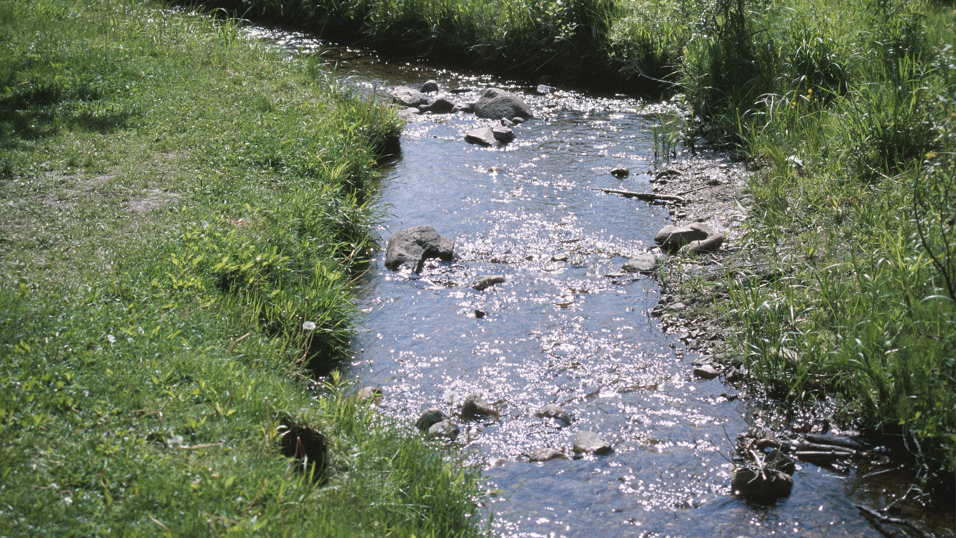 Litter Free Watershed