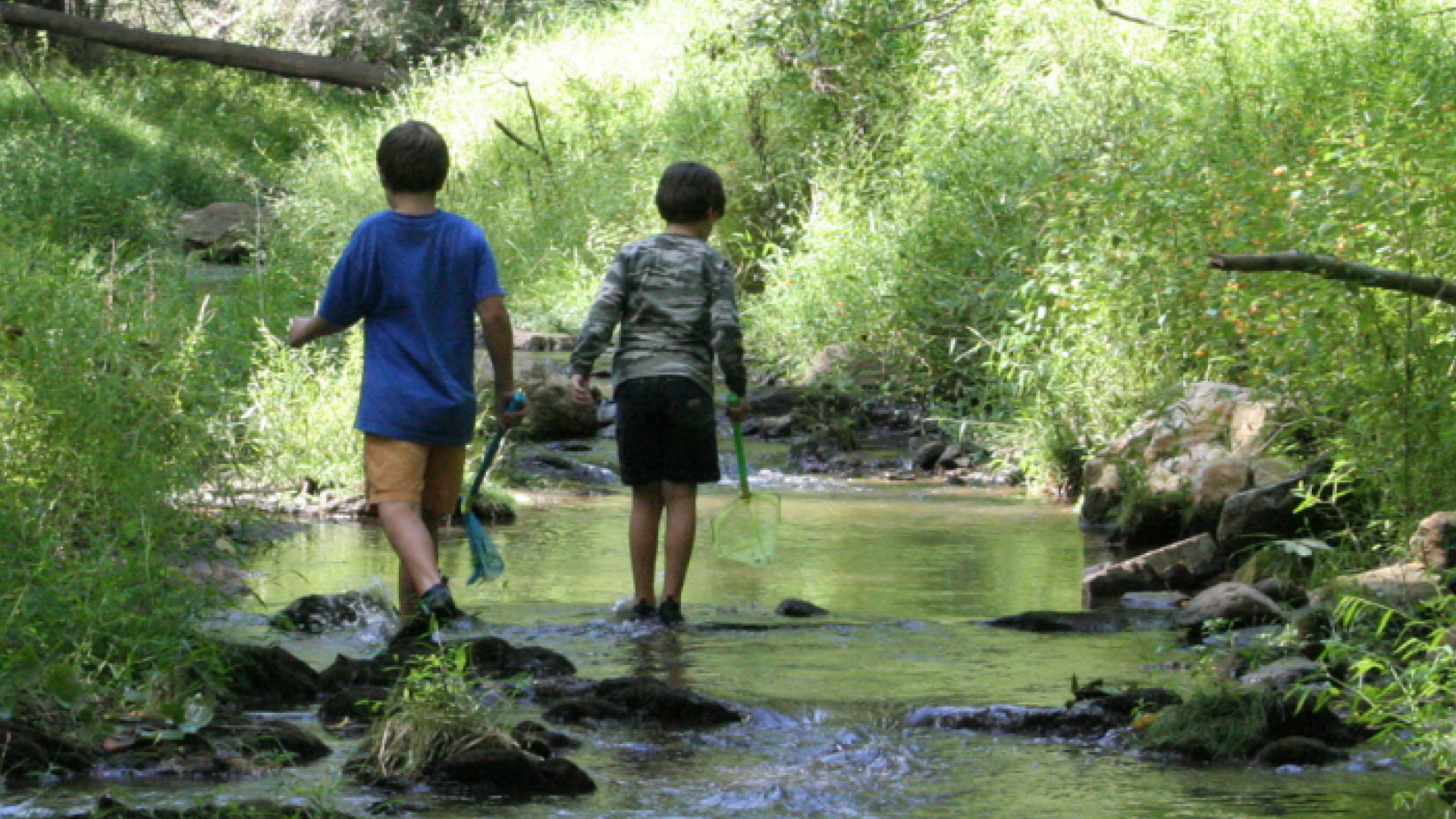 Soil and Water Stewardship